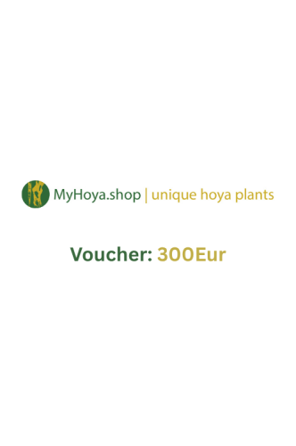 Voucher 300