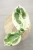Hoya Candy