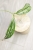 Hoya Buntokensis Purnama