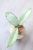 Hoya Emperor Silver (aff Clemensiorum)