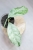 Hoya Crytiantha Silver