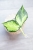 Hoya Polyneura King