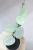 Hoya Grey Fairy (Mathilde mutation)