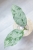 Hoya Occultata Silver