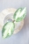 Hoya Carnosa Argentea Princess .jpg