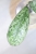 Hoya Lorelai (EPC196 mutation)