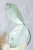 Hoya Carnosa Stardust Silver (TPQ-030)