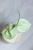 Hoya Carnosa Stardust Silver (TPQ-030)