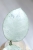 Hoya Carnosa Stardust Silver (TPQ-030)