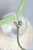 Hoya Carnosa Stardust Silver (TPQ-030)
