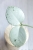 Hoya Carnosa Stardust Silver (TPQ-030)