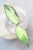 Hoya Caudata Variegata