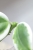 Hoya para ‘Emerald Frost’