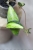 Hoya Phuwuaensis Variegata