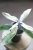 Hoya Multiflora Pandawa