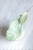Hoya Glabra Silver