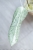 Hoya Glabra Silver
