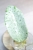 Hoya Glabra Silver