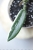 Hoya Lyi Prism Albomarginata