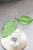 Hoya Caudata Variegata