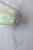 Hoya sp. Menak Sopal Silver