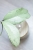 Hoya Emperor Silver (aff Clemensiorum)