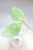 Hoya aff. incurvula Lime Whisper
