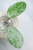 Hoya Elliptica Siver