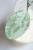 Hoya Elliptica Siver