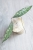 Hoya Clemensiorum Splash