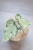 Hoya Candy