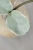 Hoya Carnosa Argentea Picta