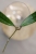 Hoya Callistophylla Jungle Spear