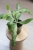 IMG_5874.JPG