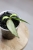 IMG_5885.JPG