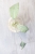 Hoya Emperor Silver (aff Clemensiorum)