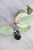Hoya Emperor Silver (aff Clemensiorum)