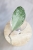 Hoya Fulgenta (H. Nicholsoniae Ghost x H. sp. Gunung Gading)