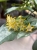 IMG_3795.jpeg