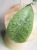 Hoya Forbesii Silver