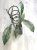 Hoya Clemensiorum sp Borneo Silver
