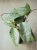 Hoya Glabra Silver