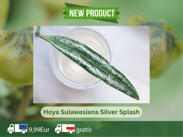 Sulawesiana